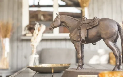 07.-08.03.2026: Paid-Warrm-Up