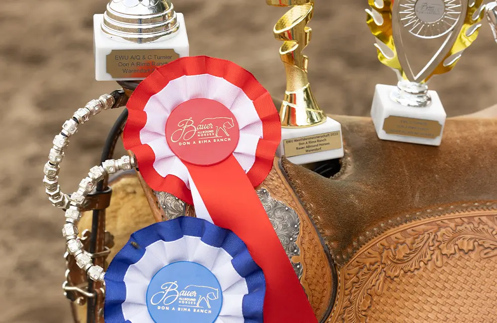 Bauer-Allroundhorses-Termin-CoverBild-2